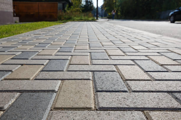 Best Driveway Repair Near Me  in Truman, MN