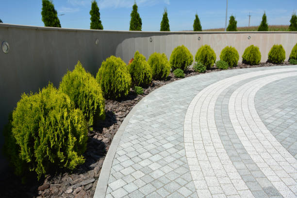 Best Cobblestone Driveway Pavers  in Truman, MN