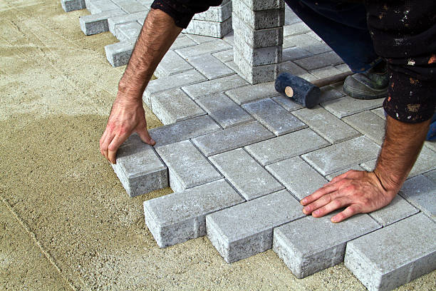 Best Commercial Driveway Pavers  in Truman, MN