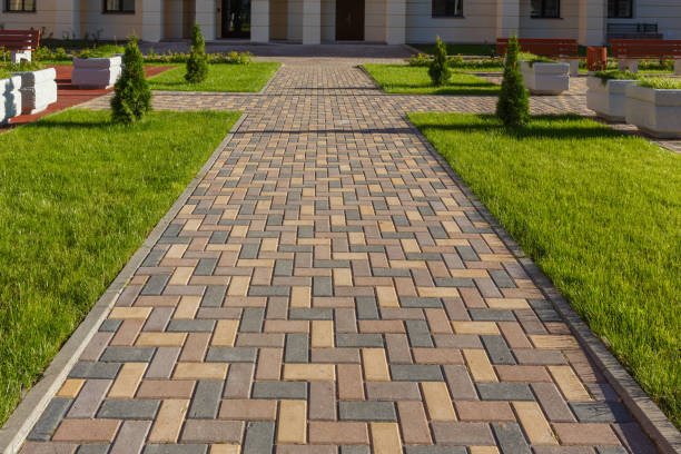 Best Interlocking Driveway Pavers  in Truman, MN